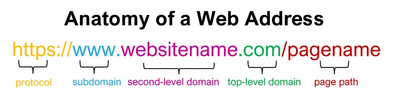 anatomy of a domain